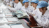 The Verge - Apple Factory